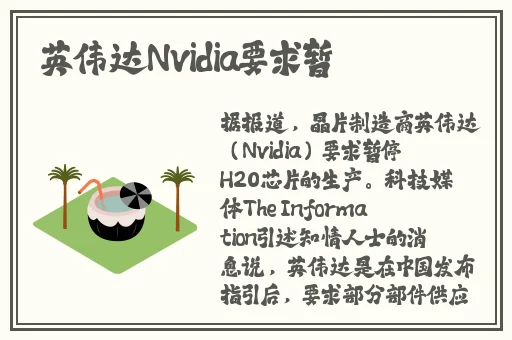 黑口子必下款app2023